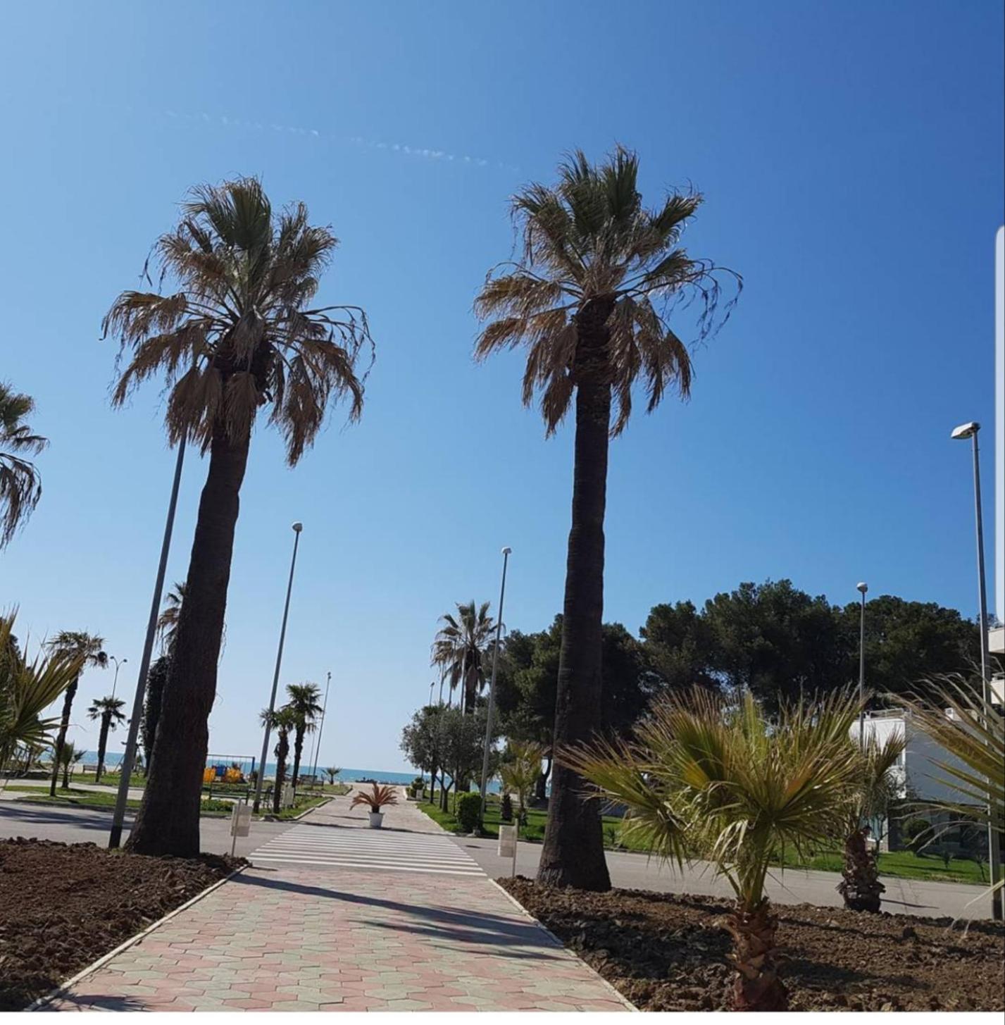 Apartamento Amaris Durrës